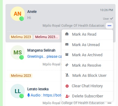 Three-dot menu showing conversation management options